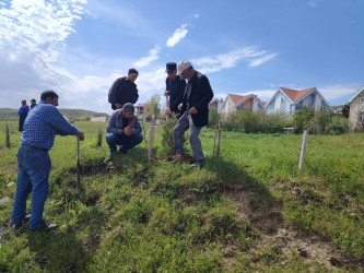“Şəhərsalma və Memarlıq ili” elan edilməsi ilə bağlı təsdiq olunmuş “Tədbirlər Planı”na uyğun olaraq  rayon ərazisində növbəti ağacəkmə aksiyası keçirilmişdir.