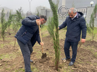 26.10.2024-cü il tarixində “Yaşıl dünya naminə həmrəylik ili” ilə əlaqədar ağacəkmə aksiyası davam etdirilib