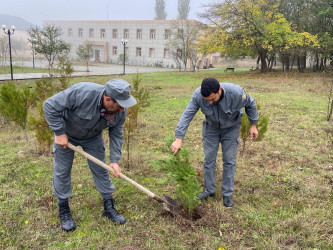 26.10.2024-cü il tarixində “Yaşıl dünya naminə həmrəylik ili” ilə əlaqədar ağacəkmə aksiyası davam etdirilib