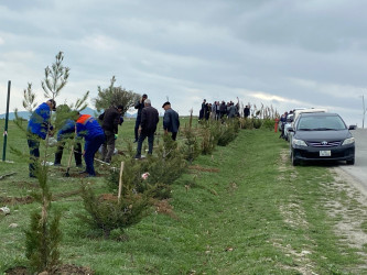 “Konstitusiya və Suverenlik ili” elan edilməsi ilə bağlı təsdiq olunmuş “Tədbirlər Planı”na uyğun olaraq ağacəkmə aksiyası keçirilmişdir.