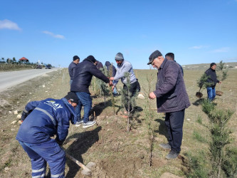 “Şəhərsalma və Memarlıq ili” elan edilməsi ilə bağlı təsdiq olunmuş “Tədbirlər Planı”na uyğun olaraq ağacəkmə aksiyası keçirilmişdir.