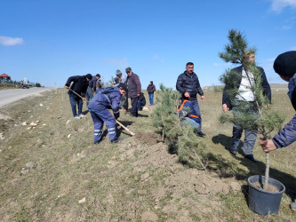 “Şəhərsalma və Memarlıq ili” elan edilməsi ilə bağlı təsdiq olunmuş “Tədbirlər Planı”na uyğun olaraq ağacəkmə aksiyası keçirilmişdir.