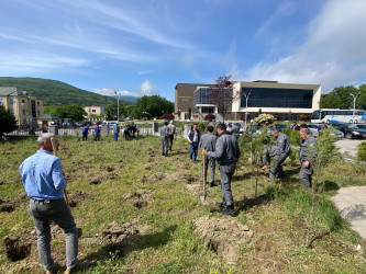 Ümummilli Lider Heydər Əliyevin anadan olmasının 101 illiyi münasibətilə Xızı rayonunda  ağacəkmə aksiyası keçirilmişdir.