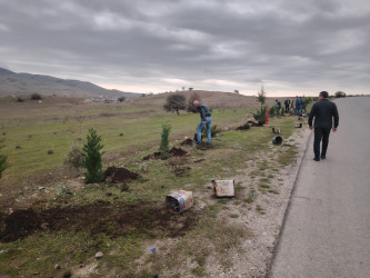 27.10.2024-cü il tarixində “Yaşıl dünya naminə həmrəylik ili” ilə əlaqədar ağacəkmə aksiyası davam etdirilib.