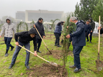 26.10.2024-cü il tarixində “Yaşıl dünya naminə həmrəylik ili” ilə əlaqədar ağacəkmə aksiyası davam etdirilib