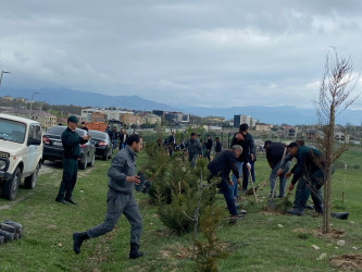 “Konstitusiya və Suverenlik ili” elan edilməsi ilə bağlı təsdiq olunmuş “Tədbirlər Planı”na uyğun olaraq ağacəkmə aksiyası keçirilmişdir.