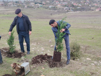 “Yaşıl dünya naminə həmrəylik ili” ilə əlaqədar ağacəkmə aksiyası davam edir.