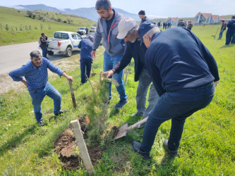 “Şəhərsalma və Memarlıq ili” elan edilməsi ilə bağlı təsdiq olunmuş “Tədbirlər Planı”na uyğun olaraq  rayon ərazisində növbəti ağacəkmə aksiyası keçirilmişdir.