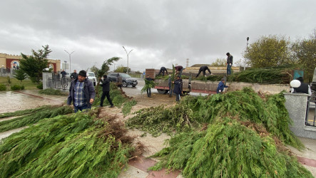 26.10.2024-cü il tarixində “Yaşıl dünya naminə həmrəylik ili” ilə əlaqədar ağacəkmə aksiyası davam etdirilib