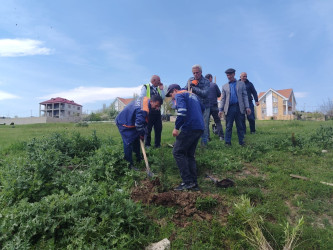 “Şəhərsalma və Memarlıq ili” elan edilməsi ilə bağlı təsdiq olunmuş “Tədbirlər Planı”na uyğun olaraq  rayon ərazisində növbəti ağacəkmə aksiyası keçirilmişdir.