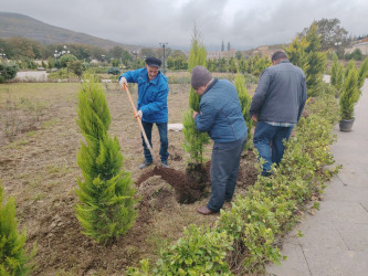 “Yaşıl dünya naminə həmrəylik ili” ilə əlaqədar ağacəkmə aksiyası davam edir.