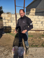 Aramsız yağışlar nəticəsində sel sularından zərər çəkmiş aztəminatlı ailələrə ərzaq yardımı paylanmışdır.