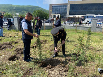 Ümummilli Lider Heydər Əliyevin anadan olmasının 101 illiyi münasibətilə Xızı rayonunda  ağacəkmə aksiyası keçirilmişdir.