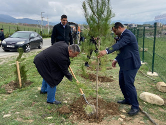 “Konstitusiya və Suverenlik ili” elan edilməsi ilə bağlı təsdiq olunmuş “Tədbirlər Planı”na uyğun olaraq ağacəkmə aksiyası keçirilmişdir.