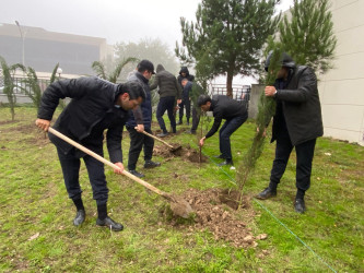 26.10.2024-cü il tarixində “Yaşıl dünya naminə həmrəylik ili” ilə əlaqədar ağacəkmə aksiyası davam etdirilib