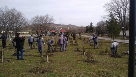 Xızı rayon Heydər Əliyev Parkında ağacəkmə aksiyası keçirilmişdir.