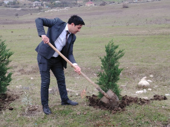 27.10.2024-cü il tarixində “Yaşıl dünya naminə həmrəylik ili” ilə əlaqədar ağacəkmə aksiyası davam etdirilib.