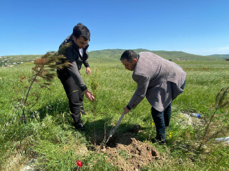 “Konstitusiya və Suverenlik ili” elan edilməsi ilə bağlı təsdiq olunmuş “Tədbirlər Planı”na uyğun olaraq ağacəkmə kampaniyası keçirilmişdir.