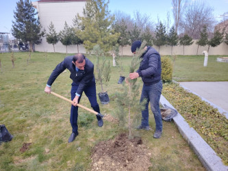 “Şəhərsalma və Memarlıq ili” elan edilməsi ilə bağlı təsdiq olunmuş “Tədbirlər Planı”na uyğun olaraq ağacəkmə aksiyası keçirilmişdir.