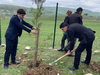 “Konstitusiya və Suverenlik ili” elan edilməsi ilə bağlı təsdiq olunmuş “Tədbirlər Planı”na uyğun olaraq ağacəkmə aksiyası keçirilmişdir.