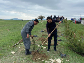 “Konstitusiya və Suverenlik ili” elan edilməsi ilə bağlı təsdiq olunmuş “Tədbirlər Planı”na uyğun olaraq ağacəkmə aksiyası keçirilmişdir.