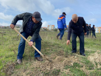Xızı rayonunda "8 Noyabr-Zəfər Günü" ilə əlaqədar ağacəkmə aksiyası keçirildi