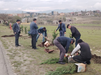 “Yaşıl dünya naminə həmrəylik ili” ilə əlaqədar ağacəkmə aksiyası davam edir.