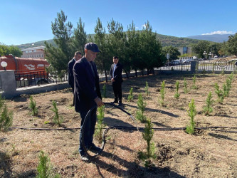 Xızı rayonunda “Yaşıl dünya naminə həmrəylik ili” çərçivəsində “27 sentyabr – Anım Günü” münasibətilə  ağacəkmə aksiyası keçirilmişdir