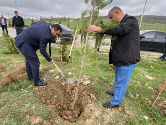 “Konstitusiya və Suverenlik ili” elan edilməsi ilə bağlı təsdiq olunmuş “Tədbirlər Planı”na uyğun olaraq ağacəkmə aksiyası keçirilmişdir.