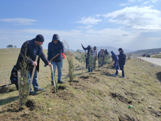“Şəhərsalma və Memarlıq ili” elan edilməsi ilə bağlı təsdiq olunmuş “Tədbirlər Planı”na uyğun olaraq ağacəkmə aksiyası keçirilmişdir.