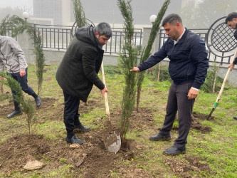 26.10.2024-cü il tarixində “Yaşıl dünya naminə həmrəylik ili” ilə əlaqədar ağacəkmə aksiyası davam etdirilib