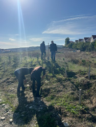 “Şəhərsalma və Memarlıq ili” elan edilməsi ilə bağlı təsdiq olunmuş “Tədbirlər Planı” çərçivəsində ağacəkmə aksiyası keçirilmişdir.