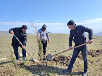 “Şəhərsalma və Memarlıq ili” elan edilməsi ilə bağlı təsdiq olunmuş “Tədbirlər Planı”na uyğun olaraq ağacəkmə aksiyası keçirilmişdir.