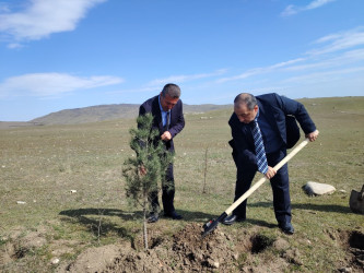 “Şəhərsalma və Memarlıq ili” elan edilməsi ilə bağlı təsdiq olunmuş “Tədbirlər Planı”na uyğun olaraq ağacəkmə aksiyası keçirilmişdir.