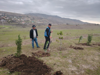 27.10.2024-cü il tarixində “Yaşıl dünya naminə həmrəylik ili” ilə əlaqədar ağacəkmə aksiyası davam etdirilib.