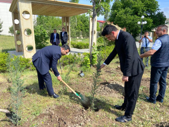 Ümummilli Lider Heydər Əliyevin anadan olmasının 101 illiyi münasibətilə Xızı rayonunda  ağacəkmə aksiyası keçirilmişdir.