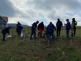 Xızı rayonunda "8 Noyabr-Zəfər Günü" ilə əlaqədar ağacəkmə aksiyası keçirildi