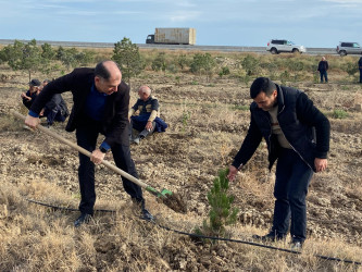 “Yaşıl dünya naminə həmrəylik ili” ilə əlaqədar ağacəkmə aksiyası davam edir.