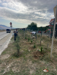 "27 sentyabr - Anım Günü" münasibətilə ağacəkmə aksiyası keçirilmişdir.