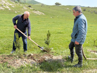 “Şəhərsalma və Memarlıq ili” elan edilməsi ilə bağlı təsdiq olunmuş “Tədbirlər Planı”na uyğun olaraq  rayon ərazisində növbəti ağacəkmə aksiyası keçirilmişdir.