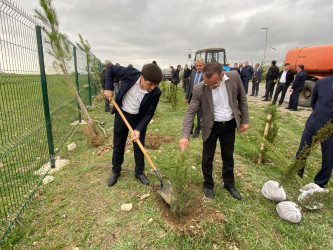 “Konstitusiya və Suverenlik ili” elan edilməsi ilə bağlı təsdiq olunmuş “Tədbirlər Planı”na uyğun olaraq ağacəkmə aksiyası keçirilmişdir.