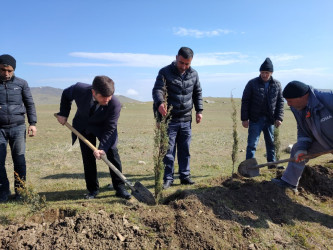 “Şəhərsalma və Memarlıq ili” elan edilməsi ilə bağlı təsdiq olunmuş “Tədbirlər Planı”na uyğun olaraq ağacəkmə aksiyası keçirilmişdir.