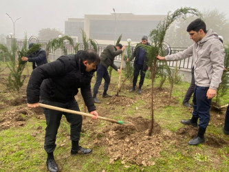 26.10.2024-cü il tarixində “Yaşıl dünya naminə həmrəylik ili” ilə əlaqədar ağacəkmə aksiyası davam etdirilib