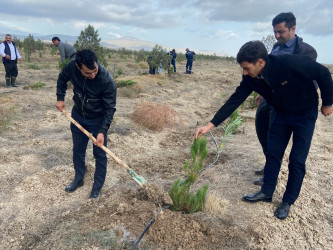 Xızı rayonunda “Yaşıl dünya naminə həmrəylik ili” ilə əlaqədar ağacəkmə aksiyası keçirilmişdir.