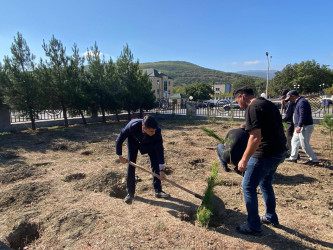 Xızı rayonunda “Yaşıl dünya naminə həmrəylik ili” çərçivəsində “27 sentyabr – Anım Günü” münasibətilə  ağacəkmə aksiyası keçirilmişdir