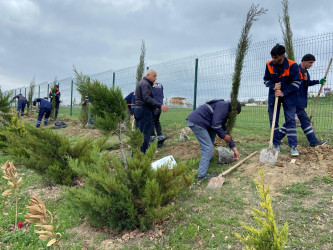 “Konstitusiya və Suverenlik ili” elan edilməsi ilə bağlı təsdiq olunmuş “Tədbirlər Planı”na uyğun olaraq ağacəkmə aksiyası keçirilmişdir.