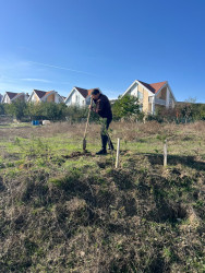 “Şəhərsalma və Memarlıq ili” elan edilməsi ilə bağlı təsdiq olunmuş “Tədbirlər Planı” çərçivəsində ağacəkmə aksiyası keçirilmişdir.