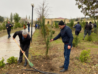 26.10.2024-cü il tarixində “Yaşıl dünya naminə həmrəylik ili” ilə əlaqədar ağacəkmə aksiyası davam etdirilib