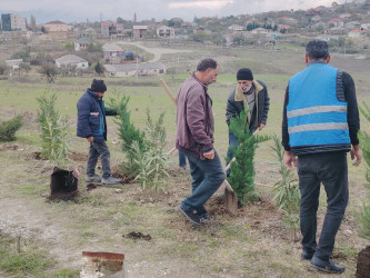 27.10.2024-cü il tarixində “Yaşıl dünya naminə həmrəylik ili” ilə əlaqədar ağacəkmə aksiyası davam etdirilib.