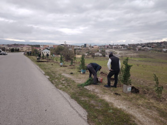 “Yaşıl dünya naminə həmrəylik ili” ilə əlaqədar ağacəkmə aksiyası davam edir.